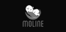 moline (1)